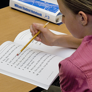 Student reading sentences